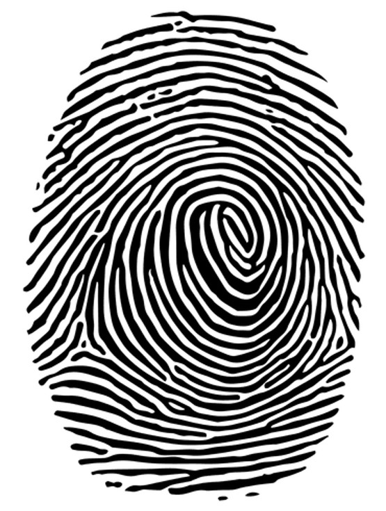 Original Fingerprint